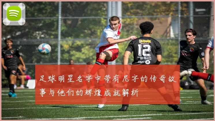 足球明星名字中带有尼字的传奇故事与他们的辉煌成就解析
