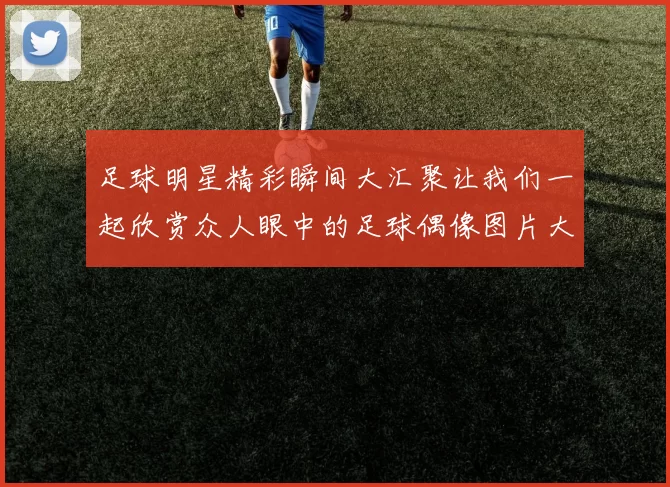 足球明星精彩瞬间大汇聚让我们一起欣赏众人眼中的足球偶像图片大全