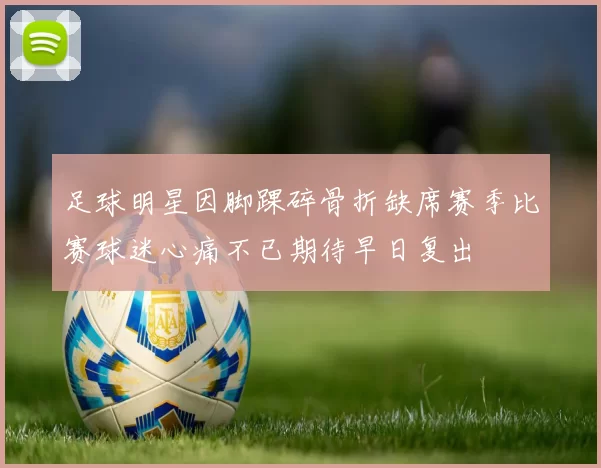 足球明星因脚踝碎骨折缺席赛季比赛球迷心痛不已期待早日复出