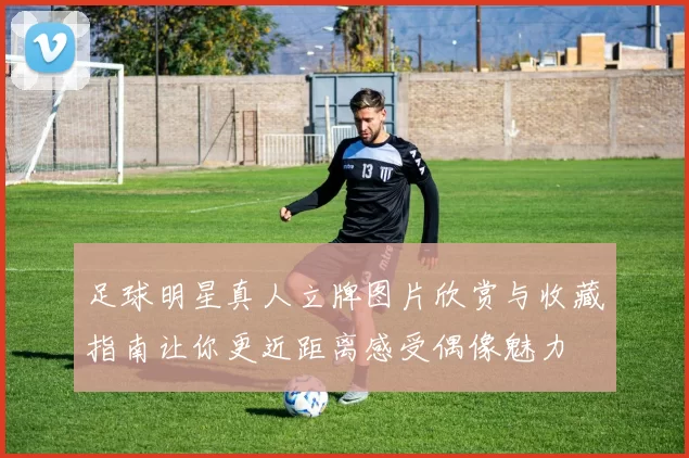 足球明星真人立牌图片欣赏与收藏指南让你更近距离感受偶像魅力