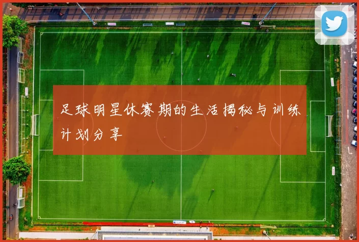 足球明星休赛期的生活揭秘与训练计划分享