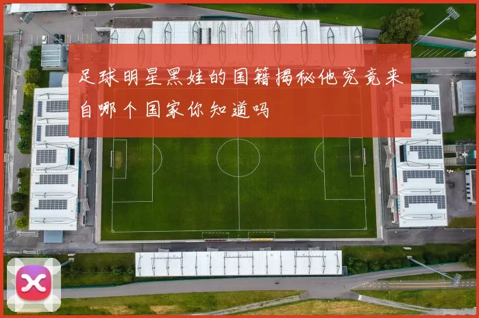 足球明星黑娃的国籍揭秘他究竟来自哪个国家你知道吗