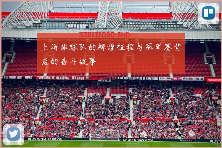 上海排球队的辉煌征程与冠军赛背后的奋斗故事