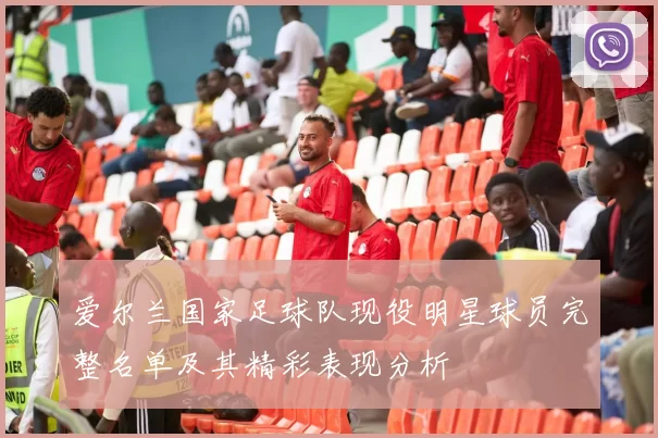 爱尔兰国家足球队现役明星球员完整名单及其精彩表现分析