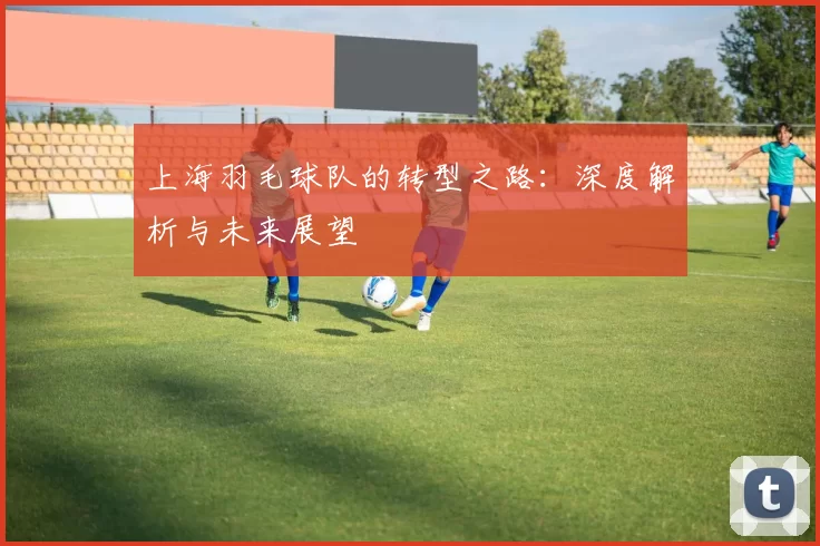 上海羽毛球队的转型之路：深度解析与未来展望