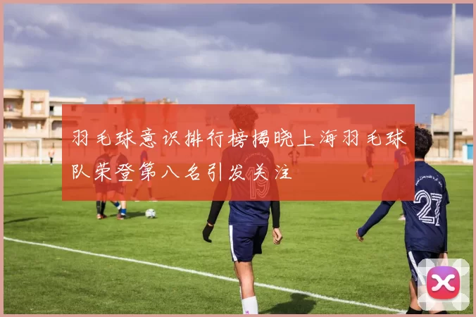 羽毛球意识排行榜揭晓上海羽毛球队荣登第八名引发关注