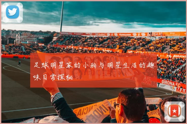 足球明星家的小狗与明星生活的趣味日常探秘