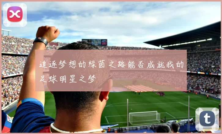 追逐梦想的绿茵之路能否成就我的足球明星之梦