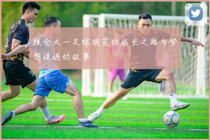 粮仓大一足球明星的成长之路与梦想追逐的故事