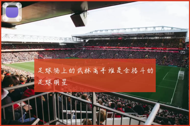 足球场上的武林高手谁是会格斗的足球明星