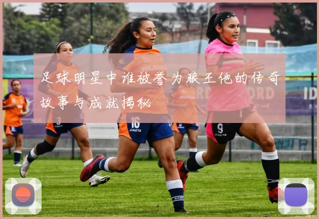 足球明星中谁被誉为狼王他的传奇故事与成就揭秘