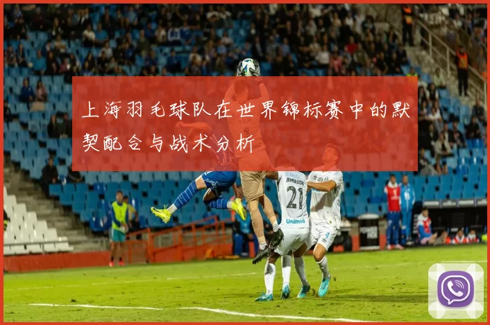 上海羽毛球队在世界锦标赛中的默契配合与战术分析