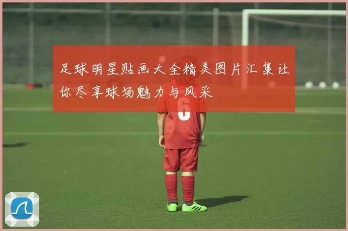 足球明星贴画大全精美图片汇集让你尽享球场魅力与风采