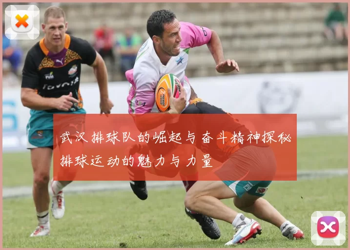 武汉排球队的崛起与奋斗精神探秘排球运动的魅力与力量