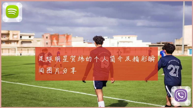 足球明星贺炜的个人简介及精彩瞬间图片分享