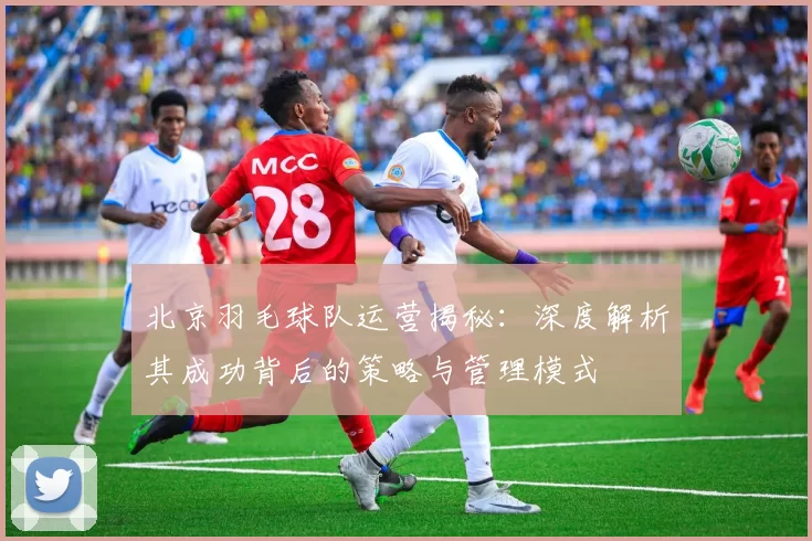 北京羽毛球队运营揭秘：深度解析其成功背后的策略与管理模式