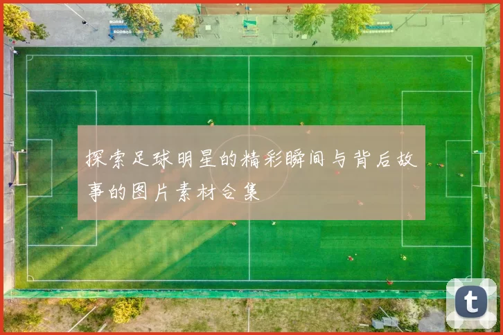 探索足球明星的精彩瞬间与背后故事的图片素材合集