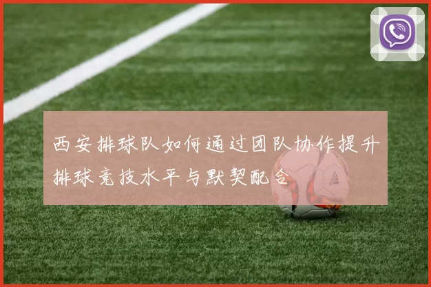 西安排球队如何通过团队协作提升排球竞技水平与默契配合