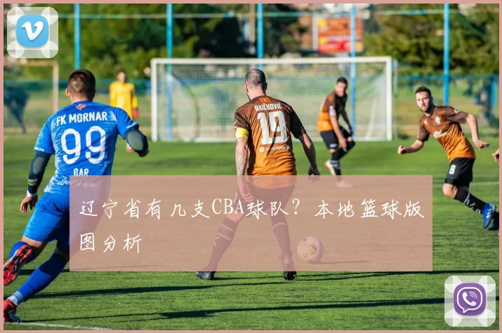 辽宁省有几支CBA球队？本地篮球版图分析