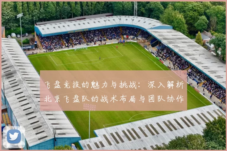 飞盘竞技的魅力与挑战：深入解析北京飞盘队的战术布局与团队协作