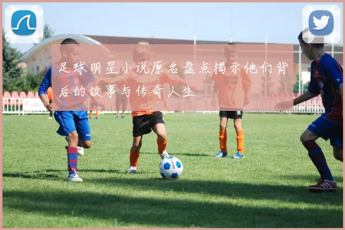 足球明星小说原名盘点揭示他们背后的故事与传奇人生