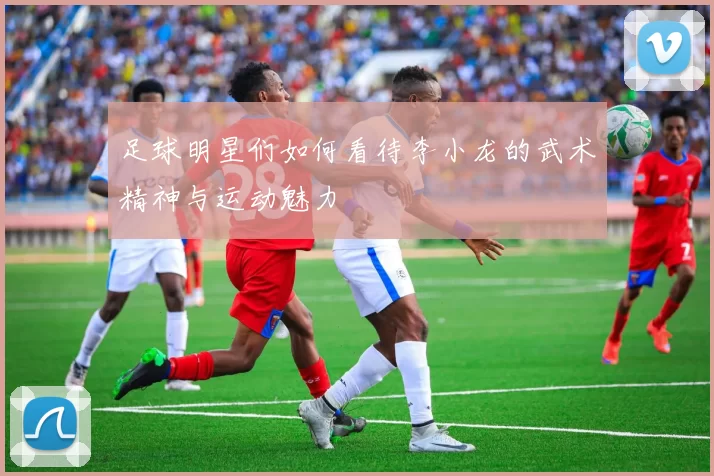 足球明星们如何看待李小龙的武术精神与运动魅力