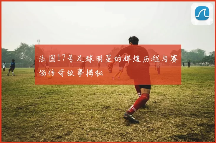法国17号足球明星的辉煌历程与赛场传奇故事揭秘