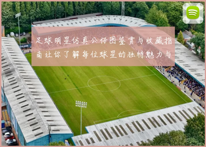 足球明星仿真公仔图鉴赏与收藏指南让你了解每位球星的独特魅力与风采