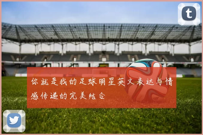 你就是我的足球明星英文表达与情感传递的完美结合